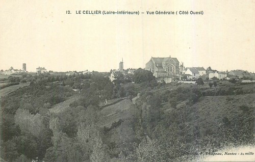 Cellier vue generale - vue,