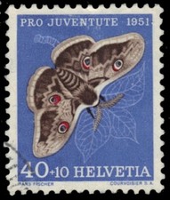 SWITZERLAND B211 - Giant Peacock Saturn Moth "Saturnia pyri" (pf98951)