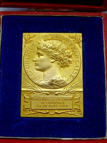 Médaille bronze doré comice - médaille,