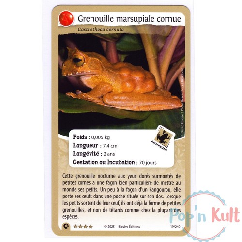 Carte défis nature - carte,