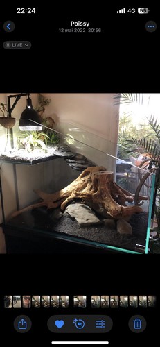 Aquarium avec meuble 500l - avec,