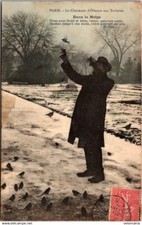24877 cpa Paris - le Charmeur d'oiseaux aux Tuileries