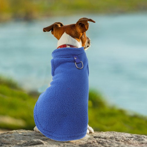 Tenue chien gilet pour de - gilet,