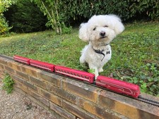 train électrique ho jouef rame capitole diésel en parfait état
