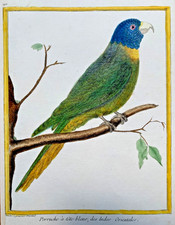 gravure ancienne (18e)