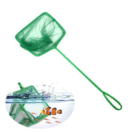 Epuisette pour poisson - ,