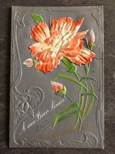 CP GRISE A MA BIEN AIMEE