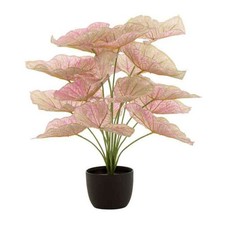 Plante Artificielle en Pot "Caladium" 57cm Rose Clair