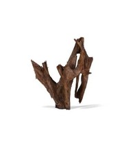 aquavie racine mangrove