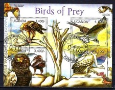 Animaux Oiseaux Rapaces