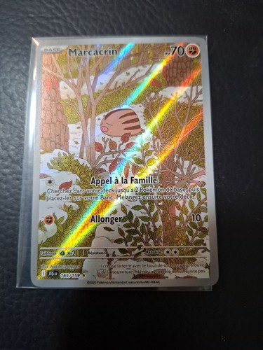Carte pokemon marcacrin - carte,