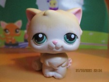 Petshop Chat Persan Sans