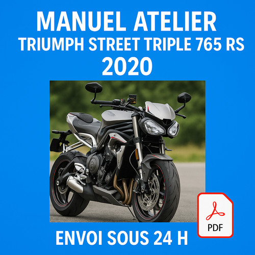 Manuel atelier triumph street - triumph,