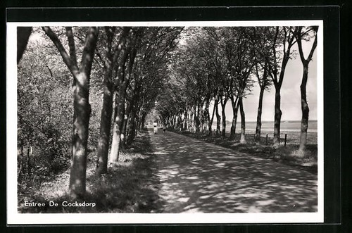 Carte postale cocksdorp - carte,