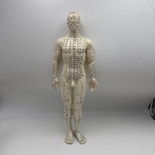 Vintage Acupuncture Points Training Male Figure Anatomical Model 20” Tall