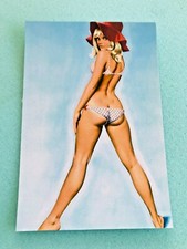 CARTE POSTALE 15X10 ASLAN PIN UP LUI 