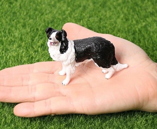 Border collie dog - collie,