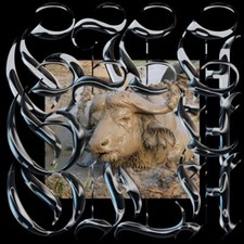 Gila - Trench Tones [New Vinyl