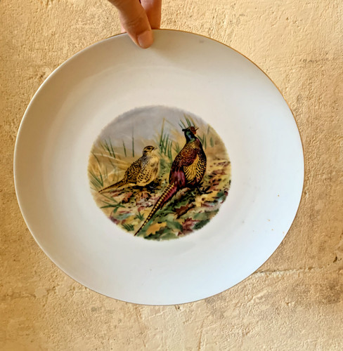 Assiette porcelaine décor - assiette, en