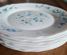 Lot 7 Assiettes Plates + 1