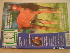 ** Cheval Santé n°7 Pur Sang