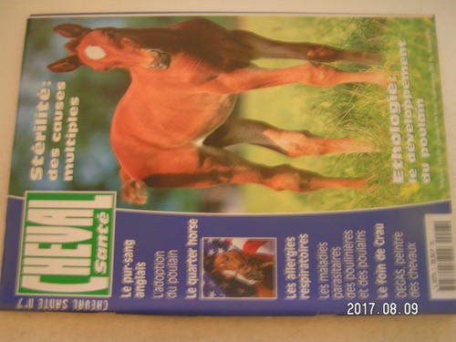 Cheval santé 7 - pur, sang