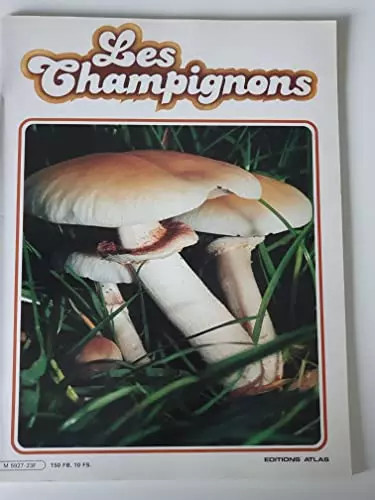 Les champignons spécial - les,