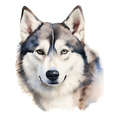 Autocollant autocollant XXL