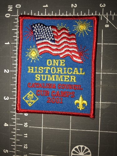 Bsa boy scouts 2001 catalina - boy,