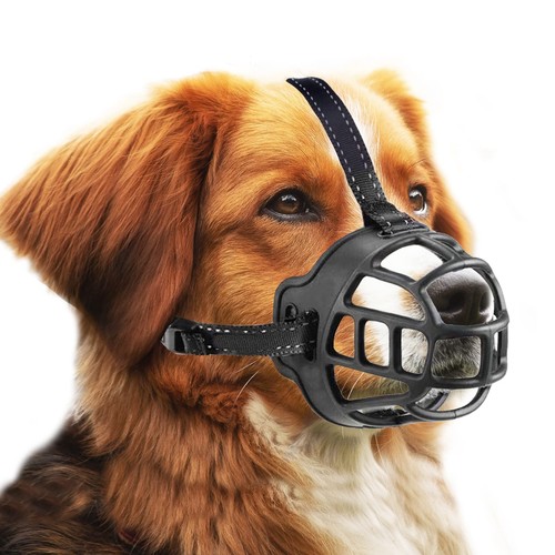 Muselière pour chien museau - pour, chien,