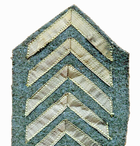 Rare chevron brisque moutarde - chevron,