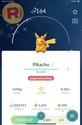 Shiny pikachu may bow - may,