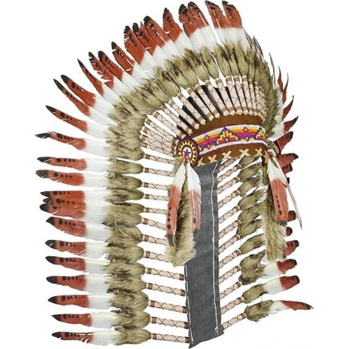 Coiffe indienne déguisement - coiffe,