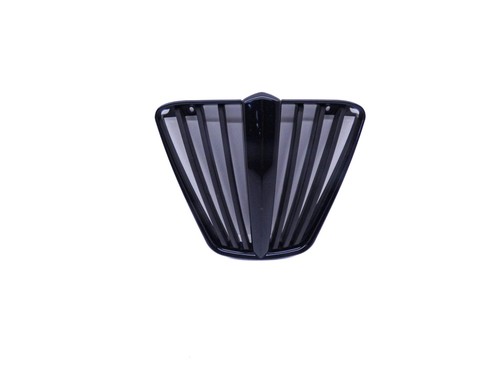 Grille radiateur eau piaggio - grille, (piaggio
