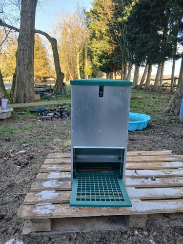 Mangeoire poule 20 kg - ,