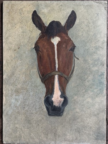 Horse study late - late, 19th