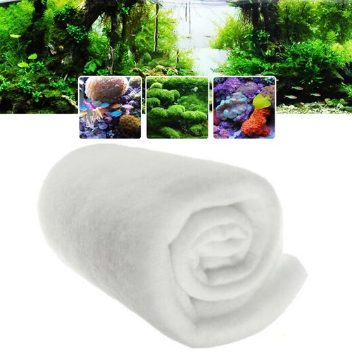 Tapis filtre plantes - tapis,