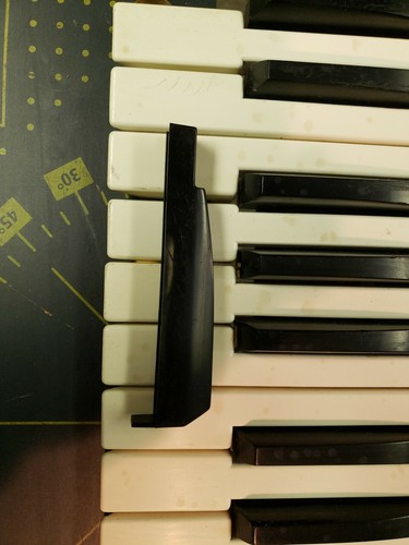 Moog polymoog single weighted - moog,