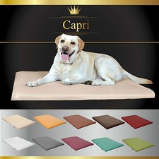 Matelas Lit pour Chien Coussin