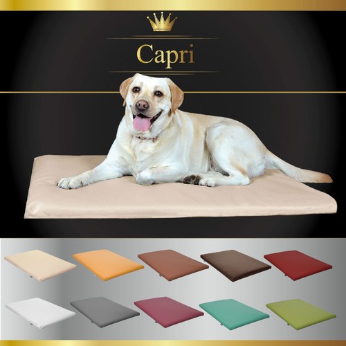 Matelas lit pour - chien, coussin