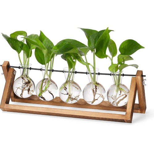 Bulb propagation station - 5,