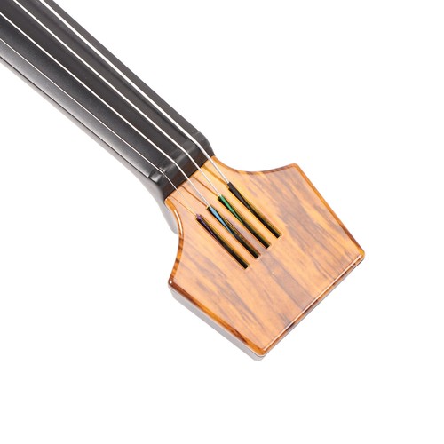 Violon électrique - 1,