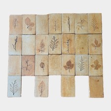 25 Carreaux en Grès de Vallauris Motif Herbier Garrigue Provence 13,5 x 8,6 cm 