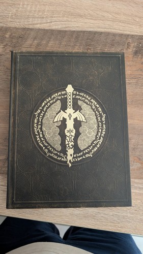 Zelda tears the kingdom - zelda, of