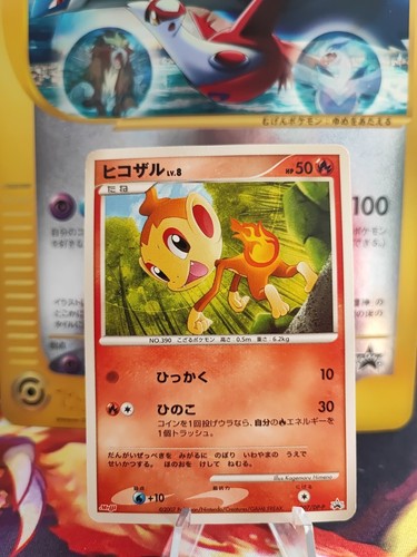 Carte pokemon card - carte, panflam