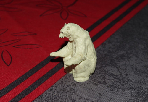 Ours blanc zoo - ours,
