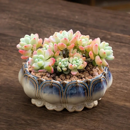 Magnifique coupe avec - magnifique,