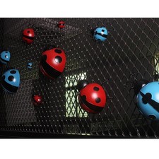 Décoration  De Coccinelle