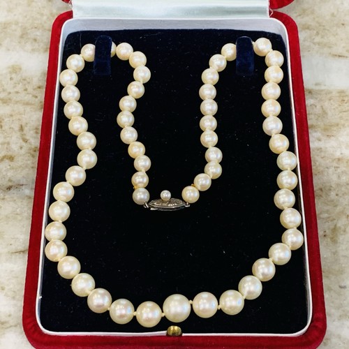 Luster fuji akoya pearl - hi,