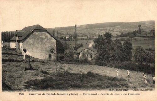 Balanod scierie bois la - -,